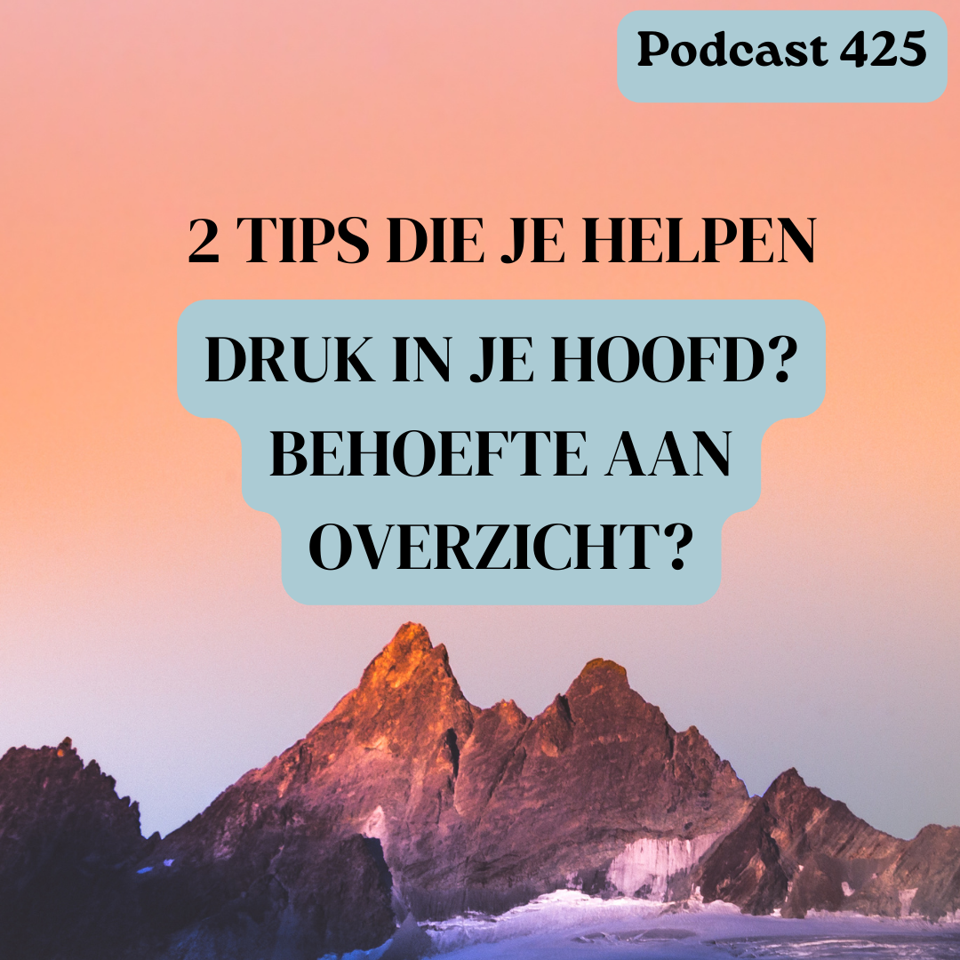 Tips Bij Drukte In Je Hoofd En Behoefte Aan Overzicht Wendy Borst